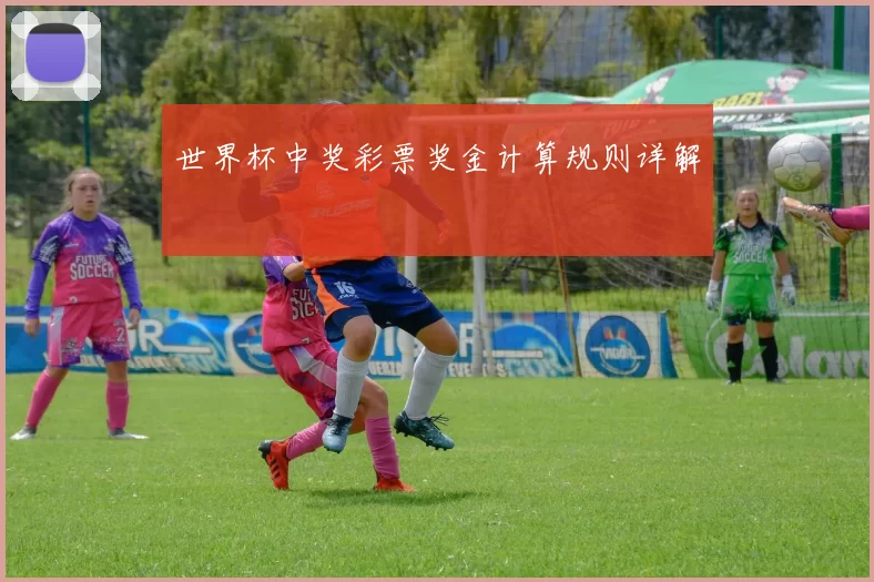 世界杯中奖彩票奖金计算规则详解