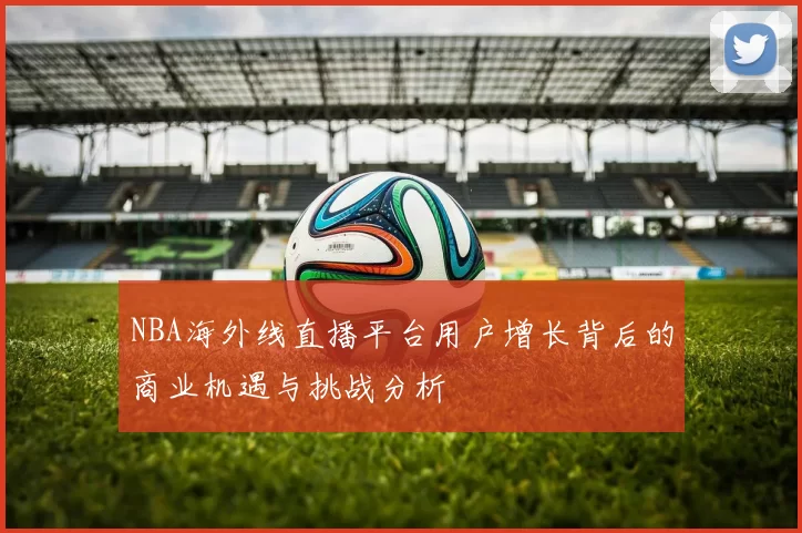 NBA海外线直播平台用户增长背后的商业机遇与挑战分析