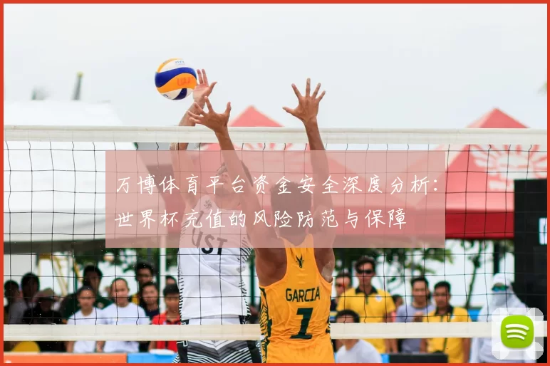 万博体育平台资金安全深度分析:世界杯充值的风险防范与保障