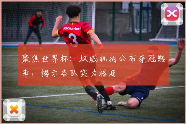 聚焦世界杯：权威机构公布夺冠赔率，揭示各队实力格局