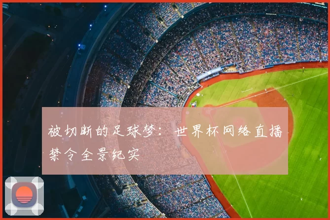 被切断的足球梦:世界杯网络直播禁令全景纪实