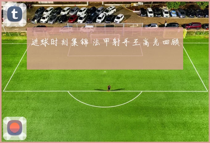 进球时刻集锦 法甲射手王高光回顾