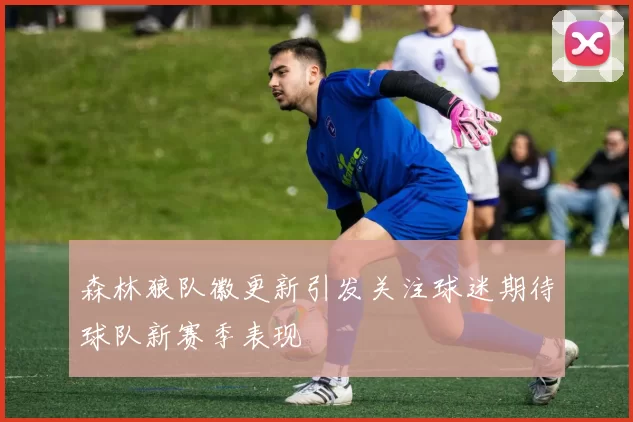 森林狼队徽更新引发关注球迷期待球队新赛季表现