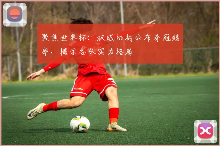 聚焦世界杯:权威机构公布夺冠赔率,揭示各队实力格局