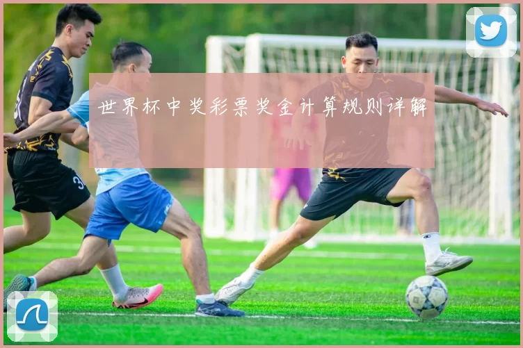 世界杯中奖彩票奖金计算规则详解