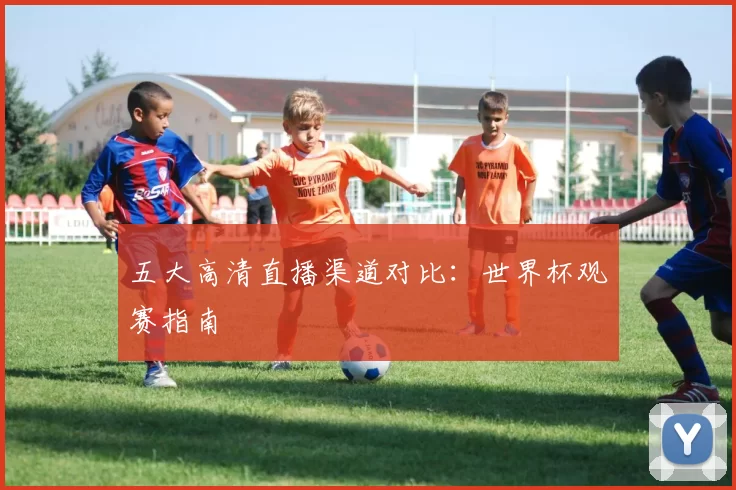 五大高清直播渠道对比：世界杯观赛指南