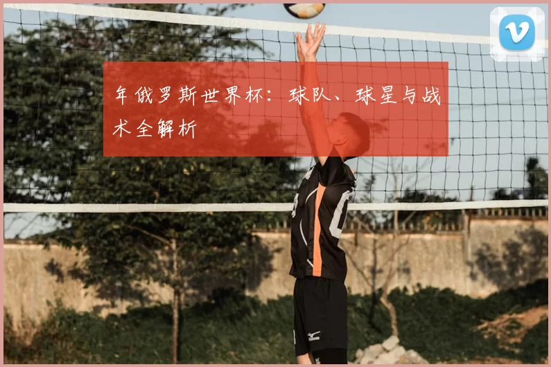年俄罗斯世界杯:球队、球星与战术全解析