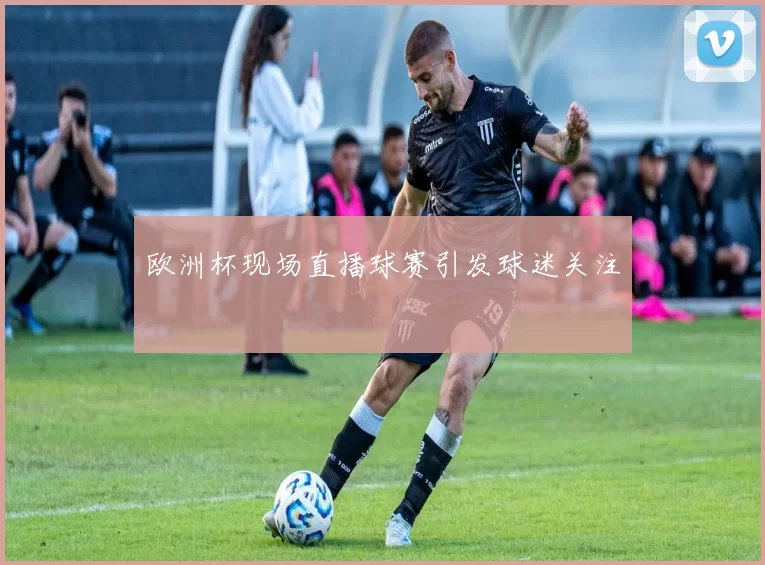 欧洲杯现场直播球赛引发球迷关注